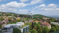 Kiadó iroda, II. kerületben 182 E Ft / hó / költözzbe.hu