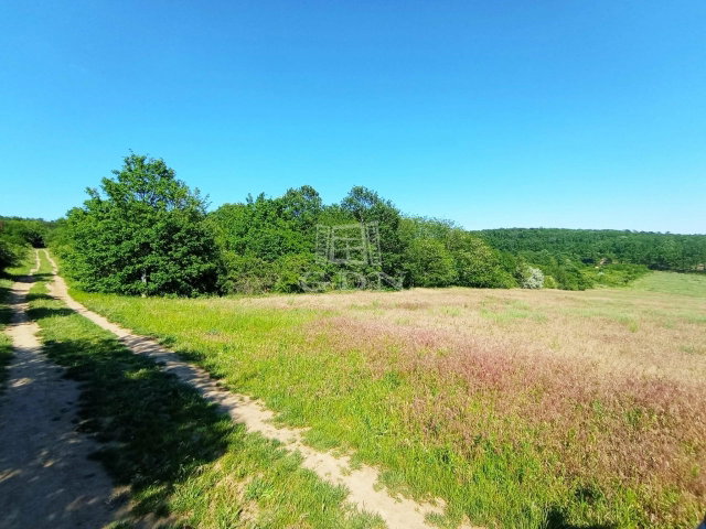 Eladó telek, Törökbálinton 119.5 M Ft / költözzbe.hu
