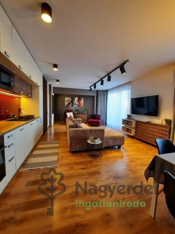 Kiadó téglalakás, albérlet, Debrecenben 570 E Ft / hó, 3 szobás