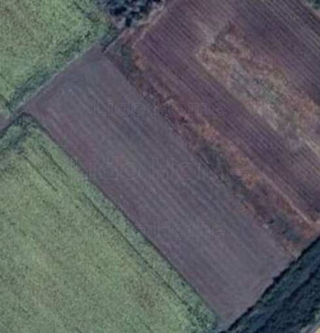 Eladó mezogazdasagi ingatlan, Balatonvilágoson 3.9 M Ft
