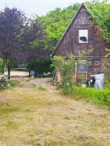 Eladó telek, Veresegyházon 64.5 M Ft / költözzbe.hu