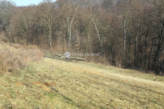 Eladó telek, Alsónemesapátiban 55 M Ft / költözzbe.hu