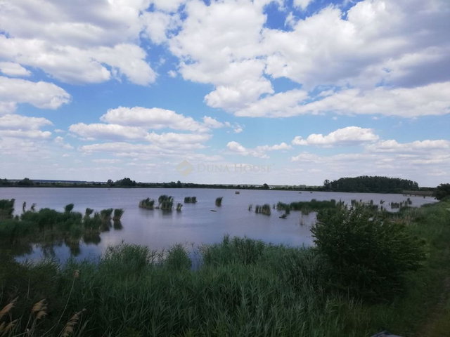 Eladó mezogazdasagi ingatlan, Tiszasülyön 450 M Ft