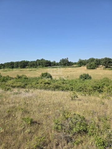 Eladó telek, Balatonalmádiban 2.96 M Ft / költözzbe.hu