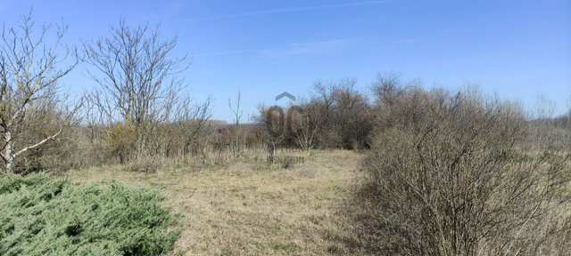 Eladó telek, Szentmártonkátán, Öregszőlő utcában 3 M Ft