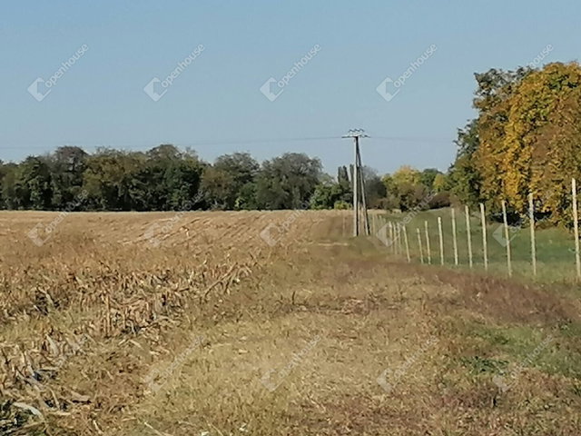 Eladó mezogazdasagi ingatlan, Nagyradán 5.49 M Ft