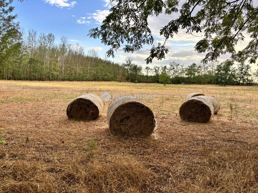 Mezogazdasagi ingatlan · 3 hálószoba · 65 m² · 30.000.000 Ft