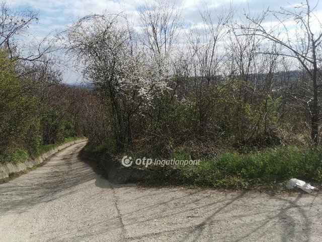 Eladó telek, Szekszárdon 6.5 M Ft / költözzbe.hu