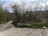 Eladó telek, Szekszárdon 6.5 M Ft / költözzbe.hu