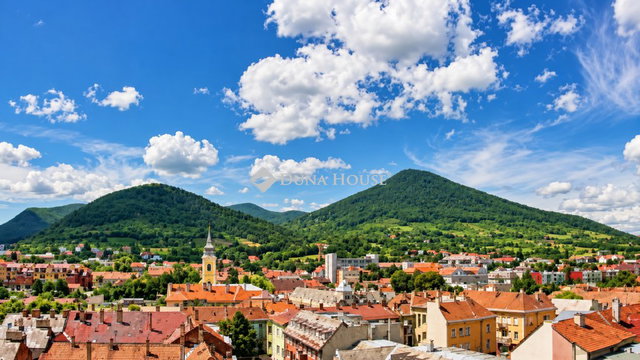 Eladó családi ház, Sátoraljaújhelyen 199 M Ft, 1 szobás