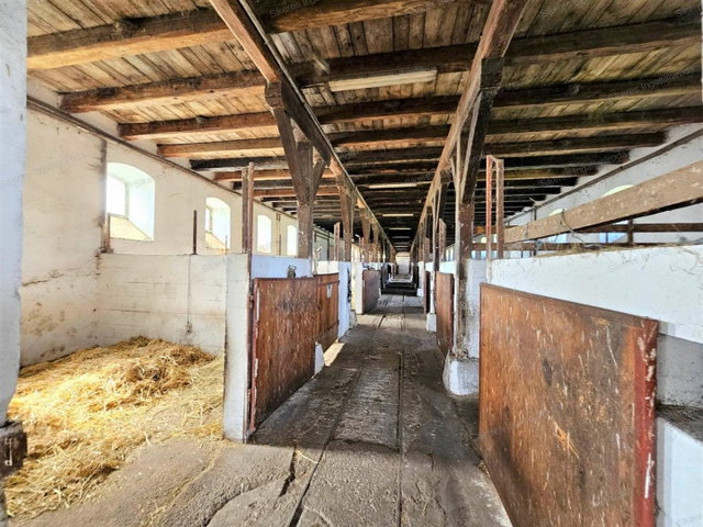 Eladó mezogazdasagi ingatlan, Környén 270 M Ft