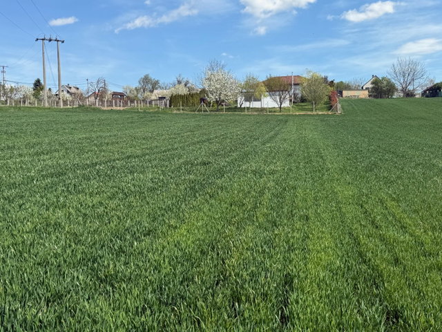 Eladó telek, Cserszegtomajon 14.9 M Ft / költözzbe.hu