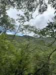 Eladó telek, Törökbálinton 37 M Ft / költözzbe.hu