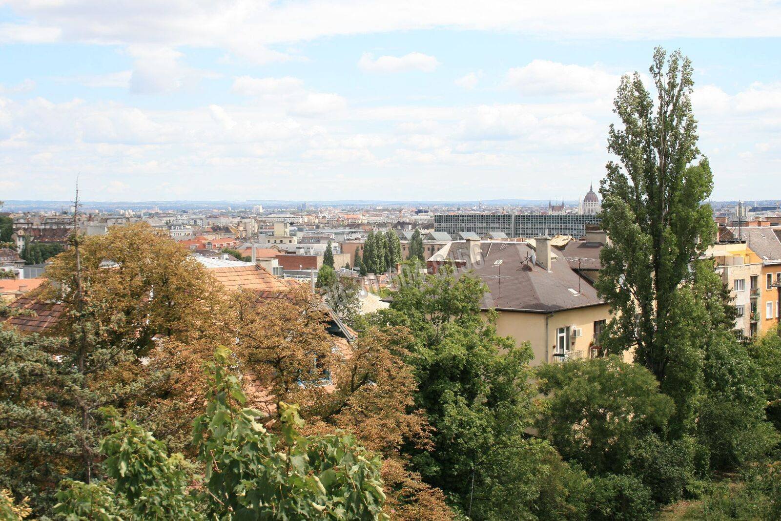 2 bed · 55m² · 250.000 ft