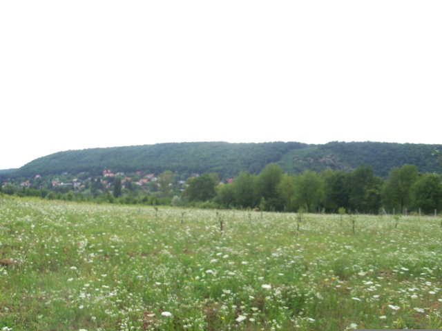 Eladó telek, Nagykovácsiban 69.77 M Ft / költözzbe.hu