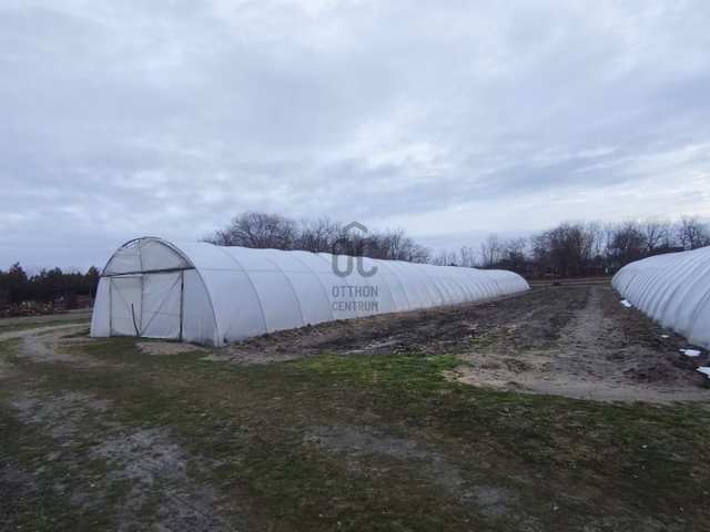 Eladó telek, Nyáregyházán 19.9 M Ft / költözzbe.hu