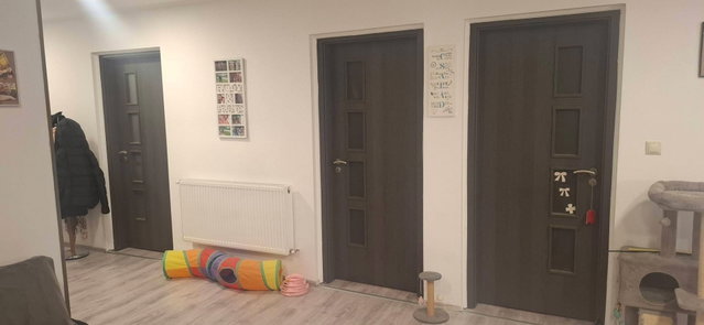 Eladó családi ház, Gyulán 43 M Ft, 3 szobás