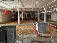 Eladó mezogazdasagi ingatlan, Kiskunfélegyházán 300 M Ft
