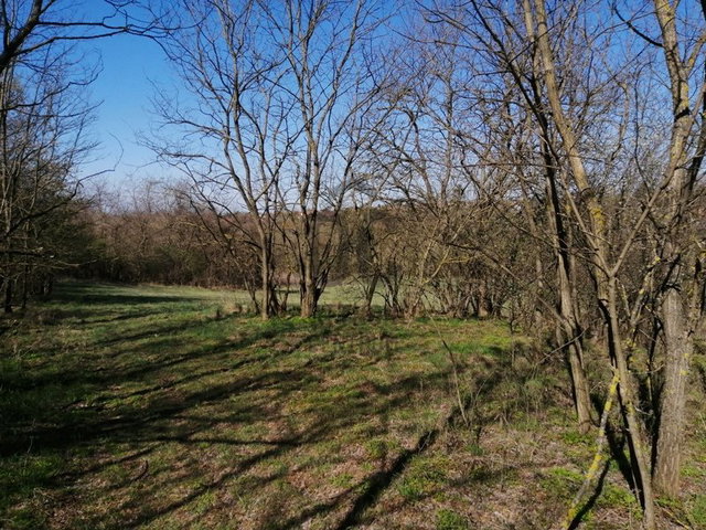 Eladó telek, Kerepesen 80 M Ft / költözzbe.hu