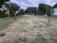 Eladó telek, Tiszaalpáron 6.5 M Ft / költözzbe.hu