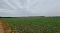 Eladó mezogazdasagi ingatlan, Fertőszéplakon 41.5 M Ft
