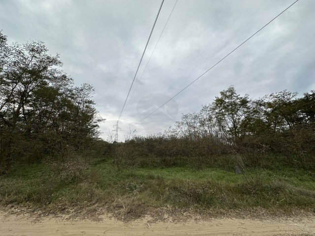 Eladó telek, Domonyban 9.9 M Ft / költözzbe.hu