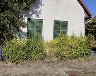 Eladó mezogazdasagi ingatlan, Pécselyen 49 M Ft