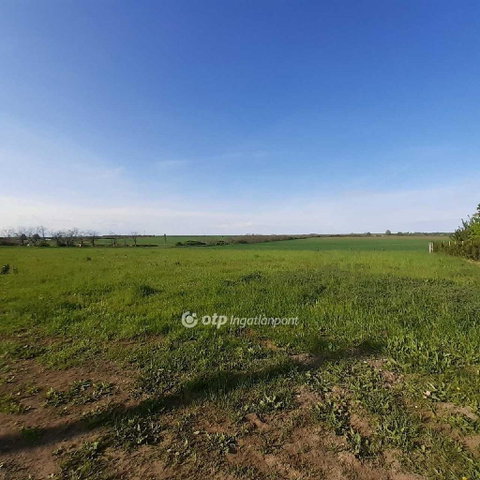 Eladó telek, Atkáron 15 M Ft / költözzbe.hu