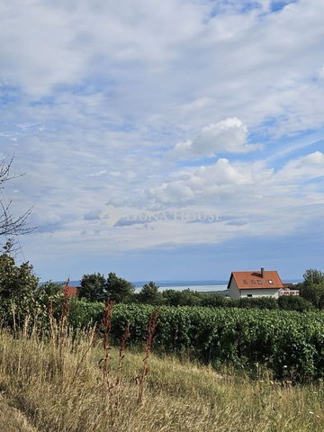 Eladó mezogazdasagi ingatlan, Szentantalfán 49.99 M Ft, 1 szobás