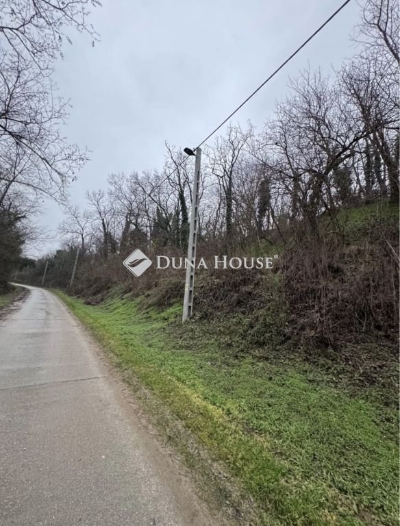 1668m² · 8.500.000 ft