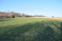 Eladó telek, Pannonhalmán 53 M Ft / költözzbe.hu