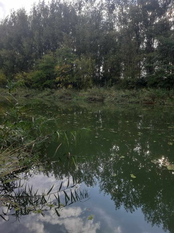 Eladó telek, Hajdúszoboszlón 6 M Ft / költözzbe.hu