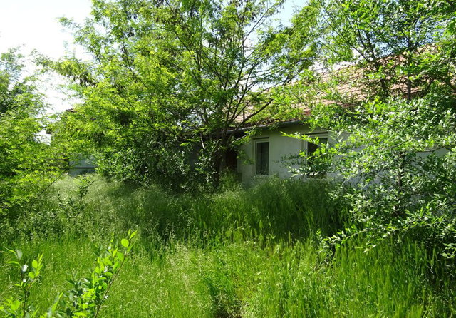 Eladó családi ház, Nagykamaráson 1.99 M Ft, 1+1 szobás