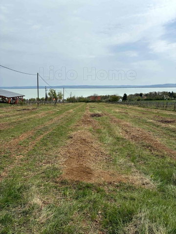 Eladó mezogazdasagi ingatlan, Balatonszepezden 75 M Ft