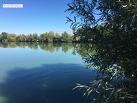 Eladó ipari ingatlan, Nagygeresden 46.5 M Ft / költözzbe.hu