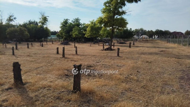 Eladó telek, Felgyőn 8 M Ft / költözzbe.hu