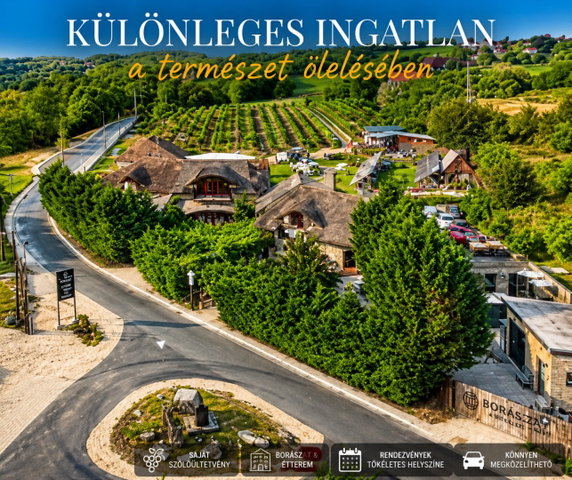Eladó ipari ingatlan, Etyeken 748 M Ft / költözzbe.hu