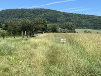 Eladó mezogazdasagi ingatlan, Pénzesgyőrön 59.9 M Ft