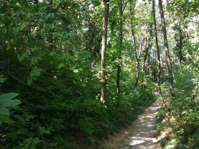 Eladó ipari ingatlan, Balatonszárszón 894 M Ft