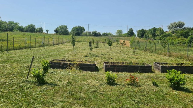 Eladó telek, Balatonkenesén 19.9 M Ft / költözzbe.hu