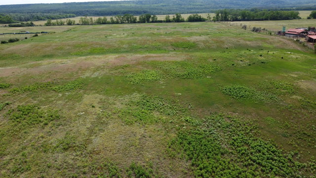 Eladó mezogazdasagi ingatlan, Isaszegen 79.9 M Ft
