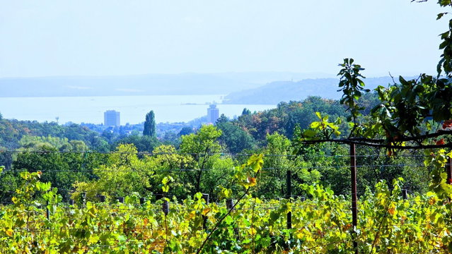 Eladó nyaraló, Balatonfüreden 54.9 M Ft, 2 szobás