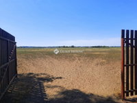 Eladó mezogazdasagi ingatlan, Dabason 40 M Ft