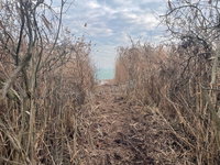 Eladó telek, Balatonfüreden 69 M Ft / költözzbe.hu