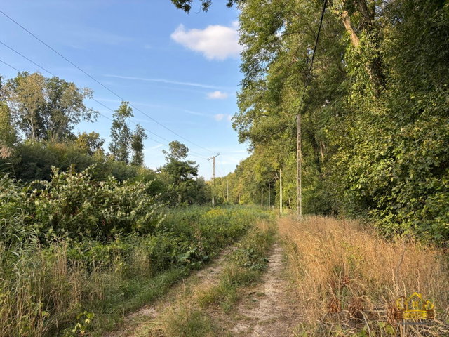 Eladó telek, Kiskunlacházán 135 M Ft / költözzbe.hu