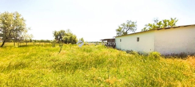 Eladó mezogazdasagi ingatlan, Pusztaszeren 32 M Ft, 5 szobás