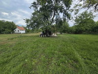 Eladó mezogazdasagi ingatlan, Balatonlelleén 29.5 M Ft