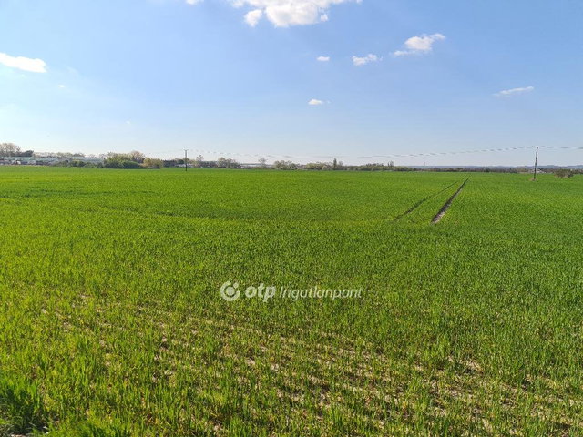 Eladó mezogazdasagi ingatlan, Szigetszentmiklóson 99.9 M Ft