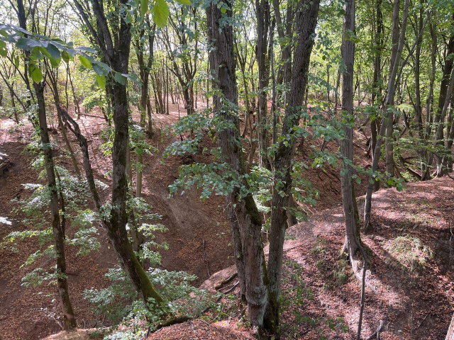 Eladó családi ház, Pilisszentkereszten 19.9 M Ft, 1+1 szobás