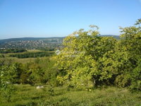 Eladó telek, II. kerületben 55 M Ft / költözzbe.hu